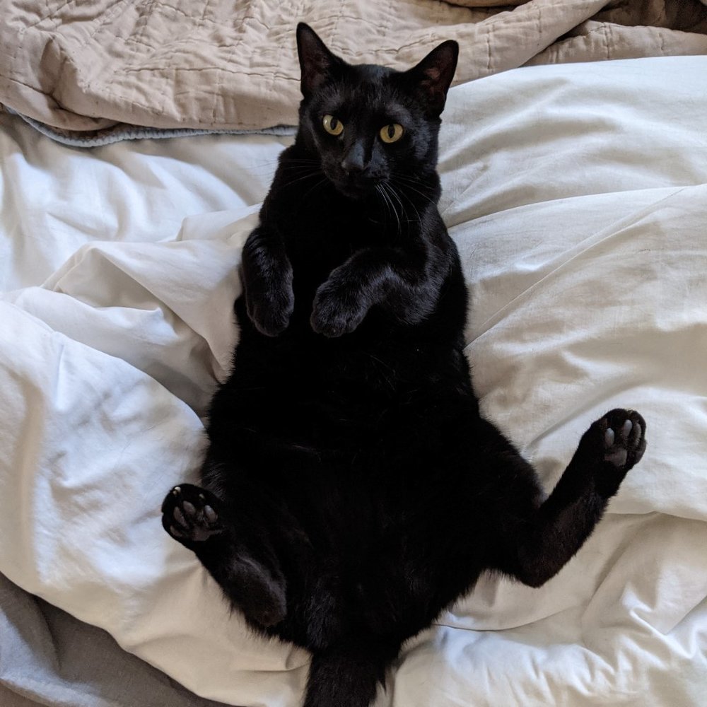 Meet your Posher, R. - Picture 3 of 11